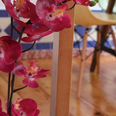 Cosy&shiny Lovely In Santos Apartamento